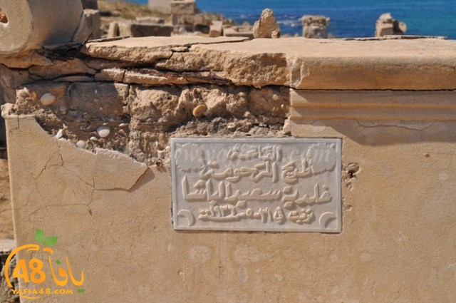 WhatsApp Image 2022-05-25 at 1.02.04 PM.jpg